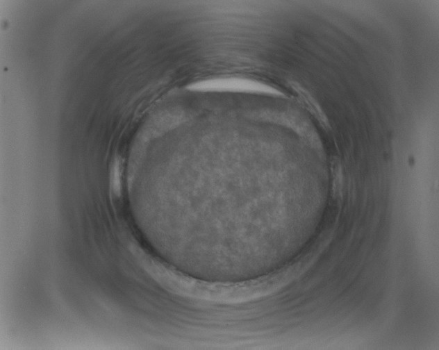 X0000081490026200702021934