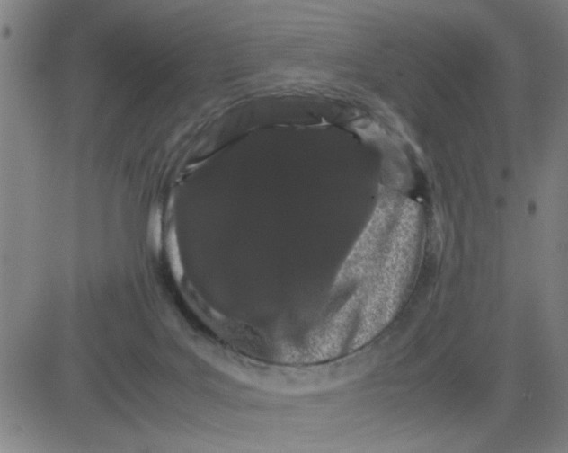 X0000081490027200702021934