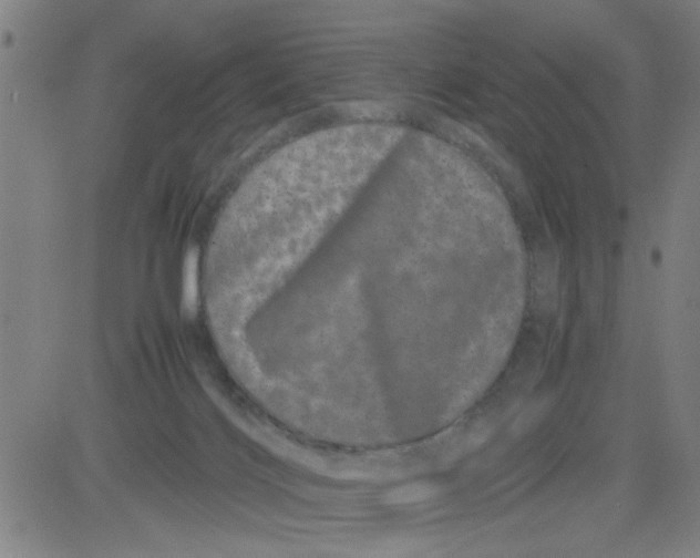 X0000081490028200702021934