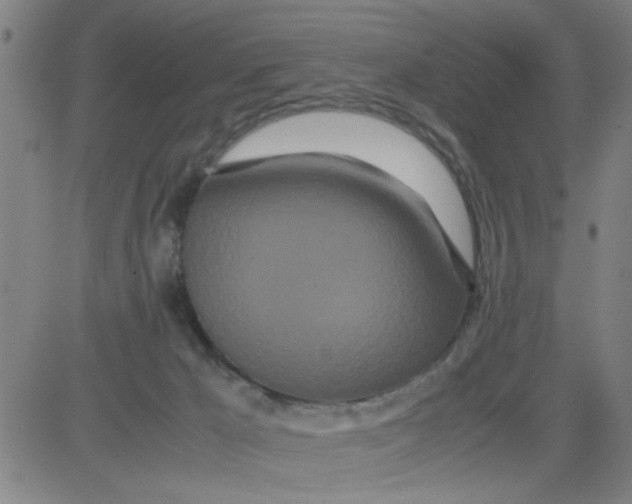 X0000081490029200702021934