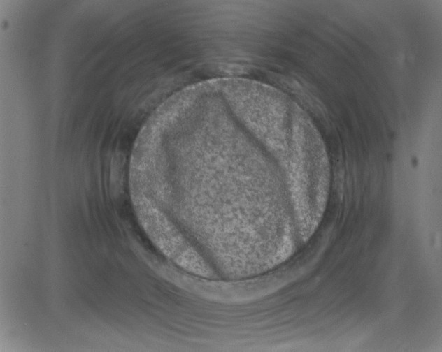 X0000081490030200702021934