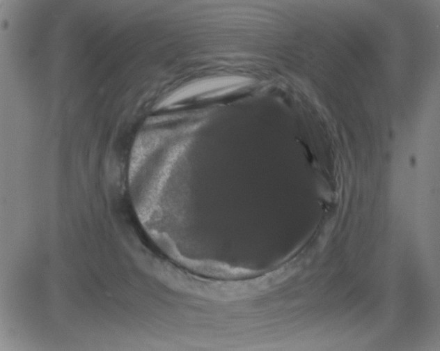 X0000081490031200702021934