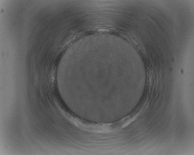 X0000081490032200702021934