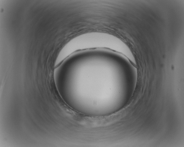 X0000081490033200702021934