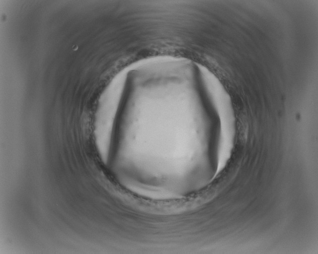 X0000081490034200702021934