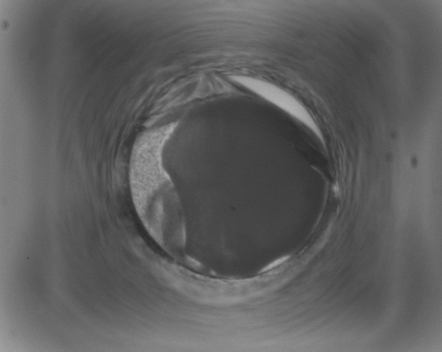 X0000081490035200702021934