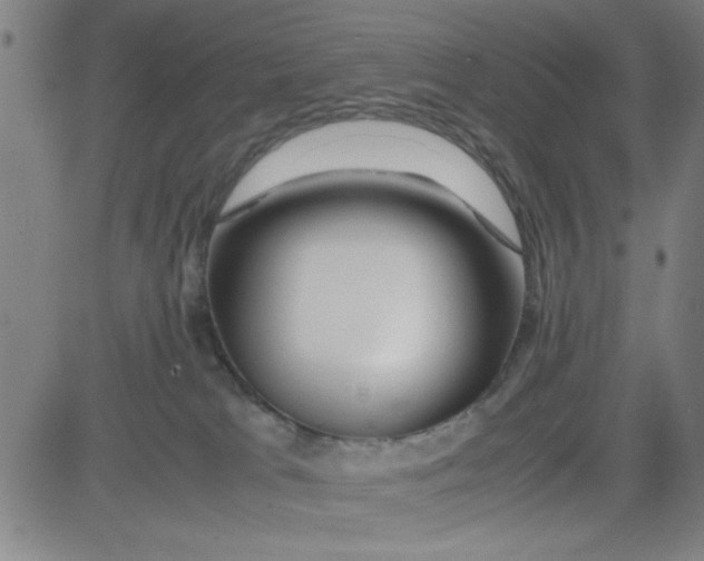 X0000081490037200702021934