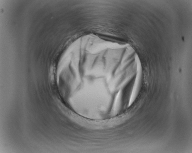 X0000081490038200702021934