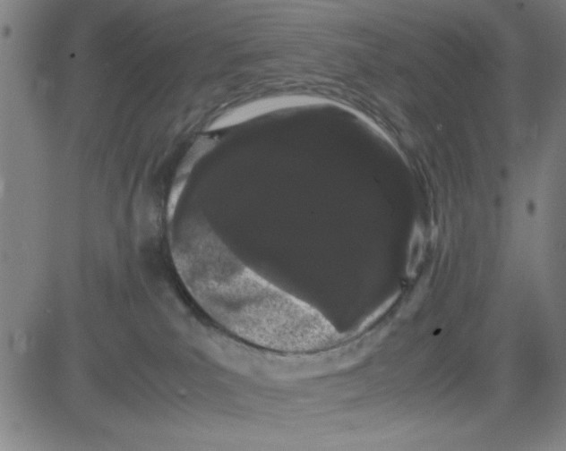 X0000081490039200702021934