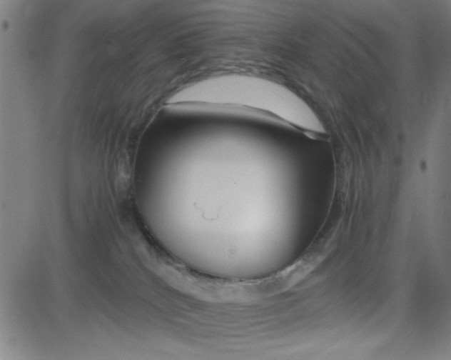 X0000081490040200702021934