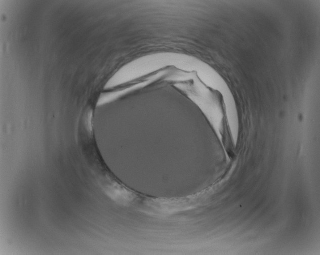 X0000081490041200702021934