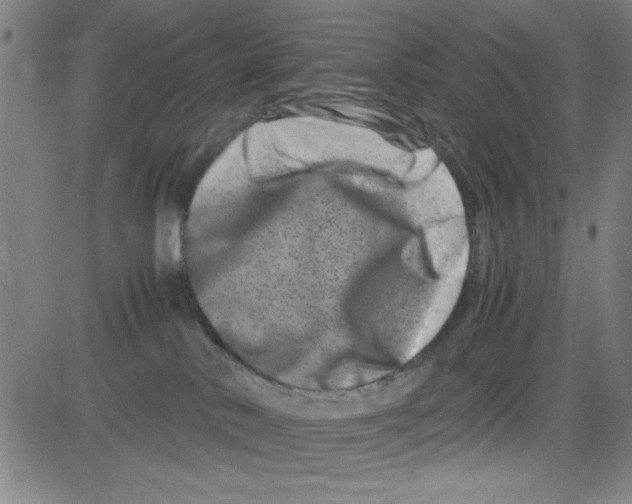 X0000081490042200702021934