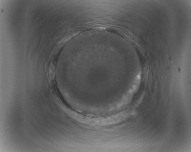 X0000081490043200702021934