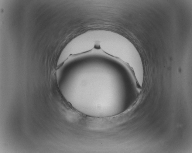 X0000081490045200702021934