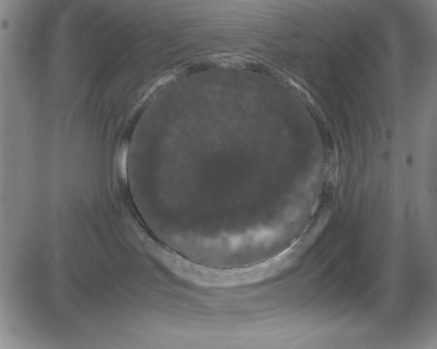 X0000081490047200702021933