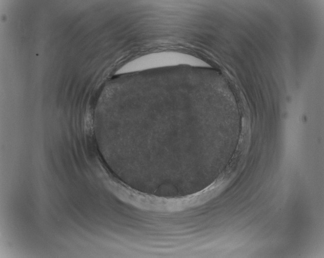 X0000081490048200702021933