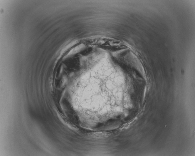 X0000081490050200702021933