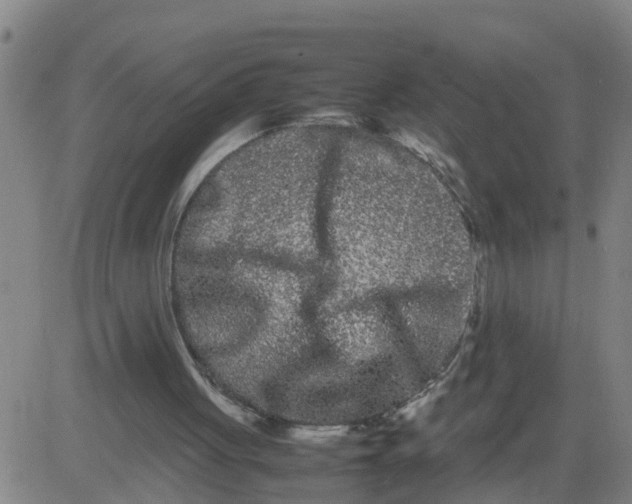 X0000081490051200702021933