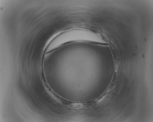 X0000081490052200702021933