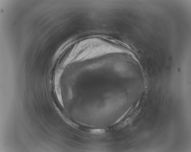 X0000081490053200702021933