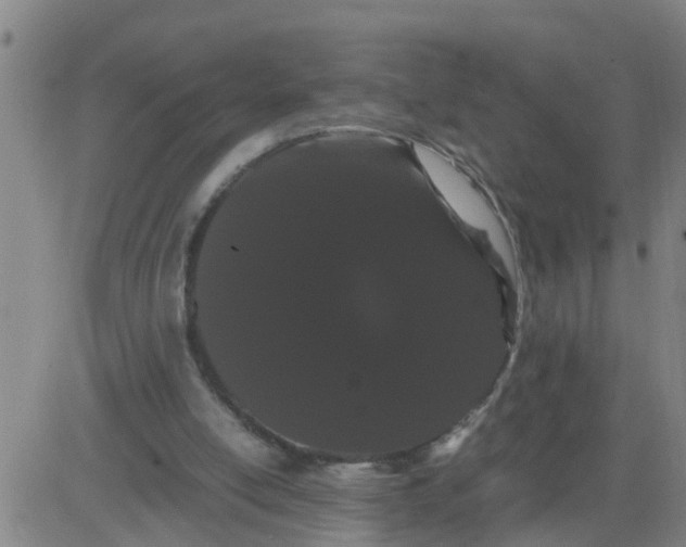 X0000081490054200702021933