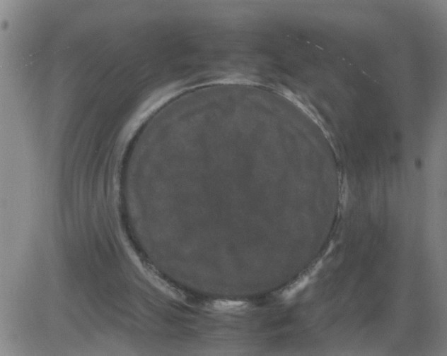 X0000081490055200702021933