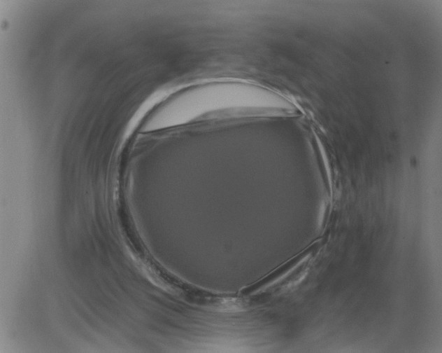 X0000081490056200702021933