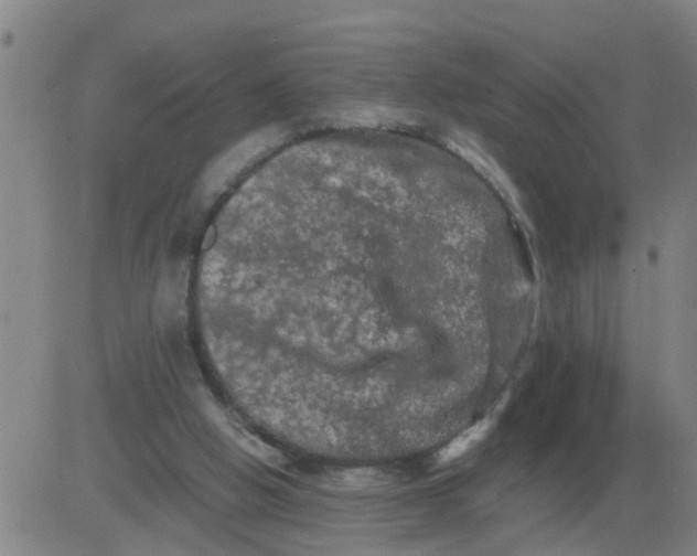 X0000081490058200702021933