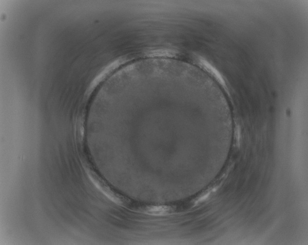 X0000081490059200702021933