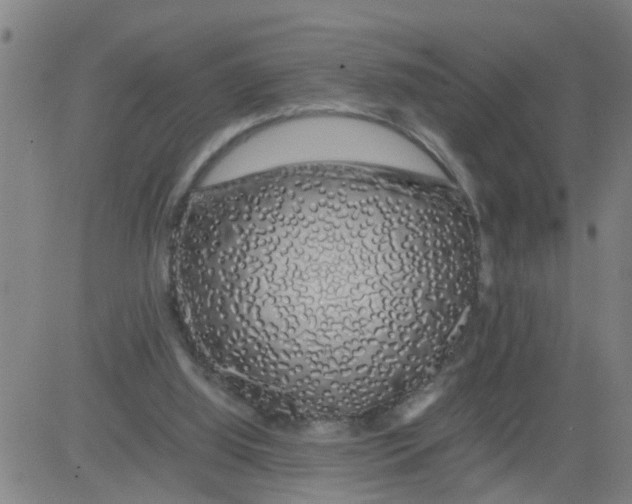 X0000081490060200702021933