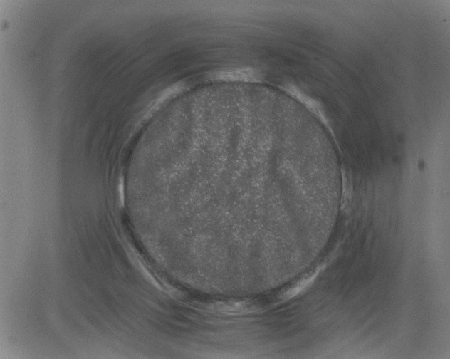 X0000081490061200702021933