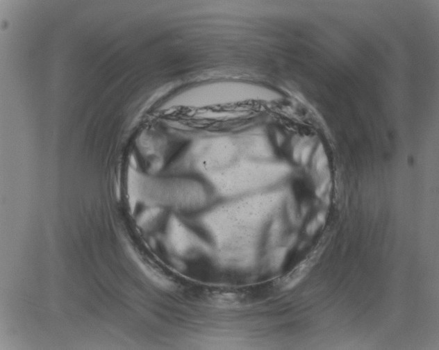 X0000081490062200702021933