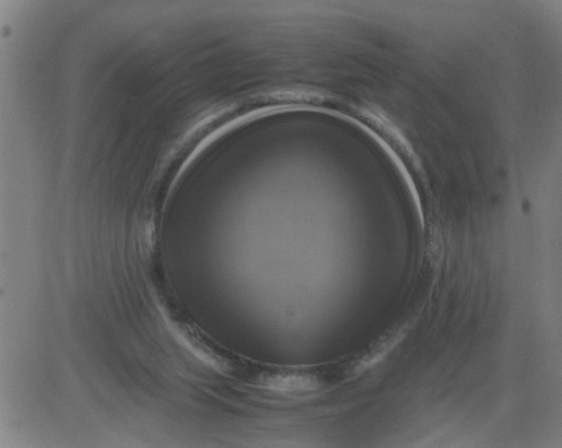 X0000081490063200702021933