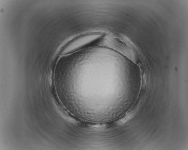 X0000081490064200702021933