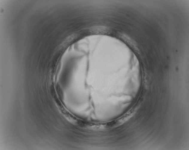 X0000081490065200702021933