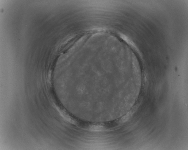 X0000081490066200702021933