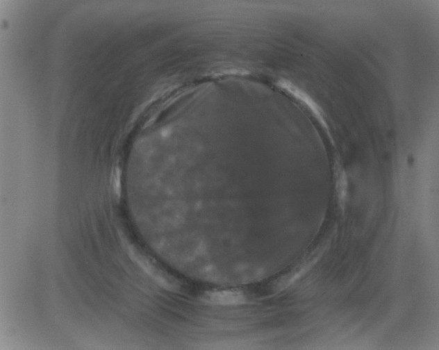 X0000081490067200702021933