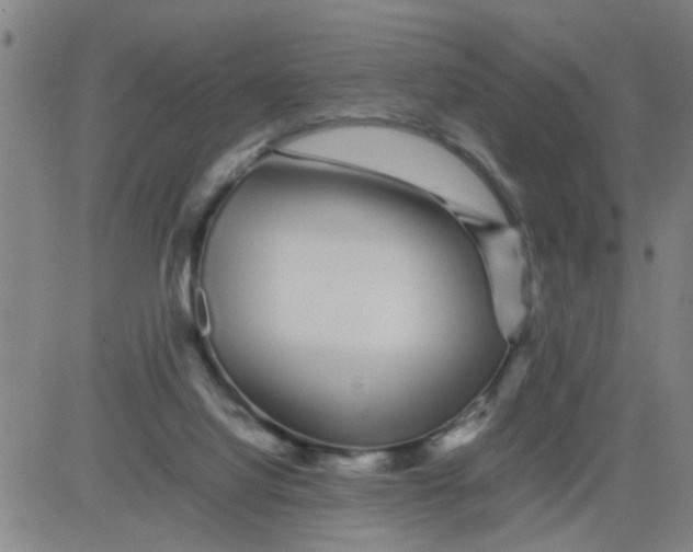 X0000081490068200702021933