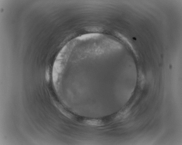 X0000081490069200702021933