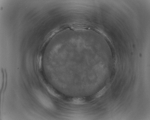 X0000081490070200702021933