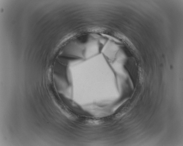 X0000081490071200702021933