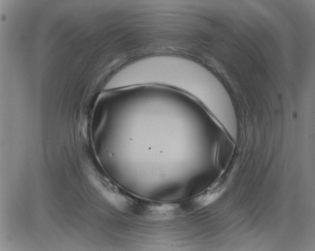 X0000081490072200702021933