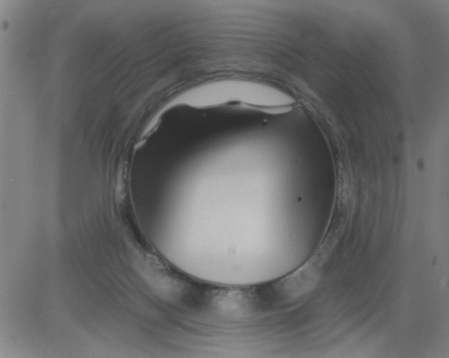 X0000081490074200702021933