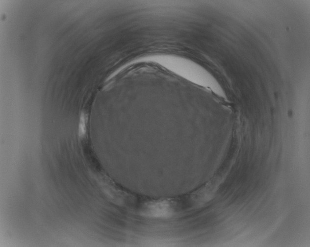 X0000081490075200702021933