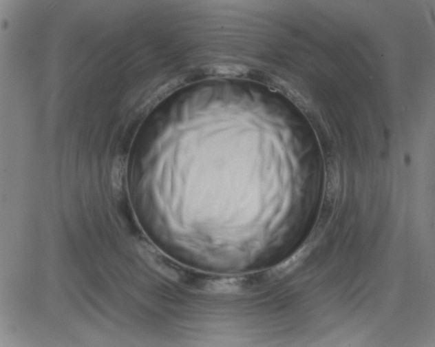 X0000081490078200702021933