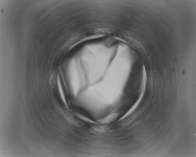 X0000081490079200702021933