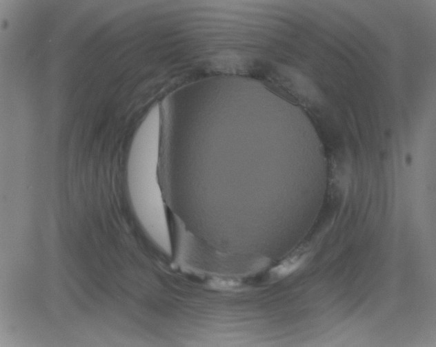 X0000081490080200702021933