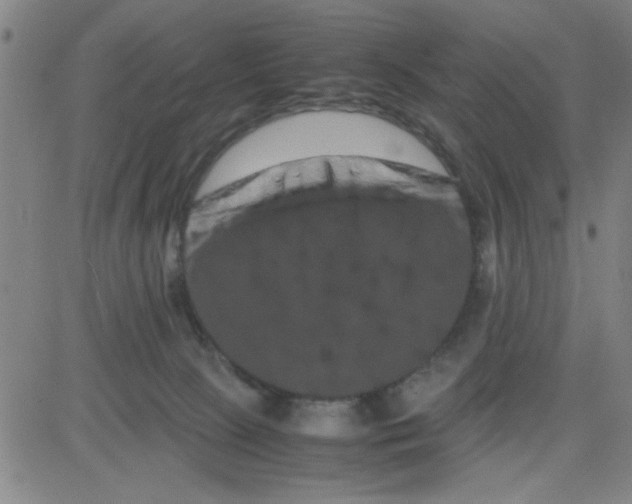 X0000081490081200702021933