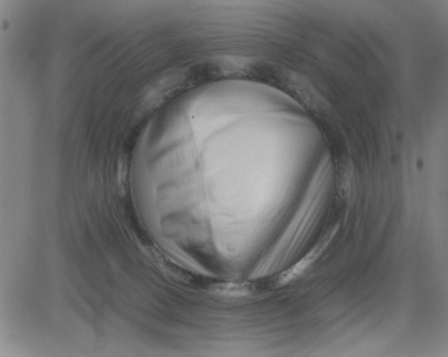 X0000081490082200702021933