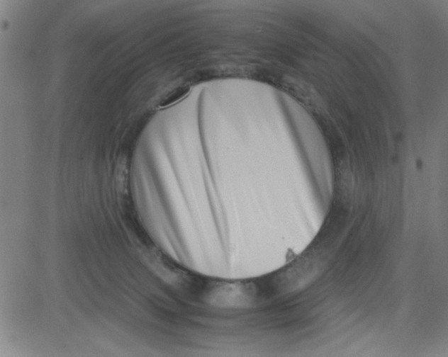 X0000081490083200702021933